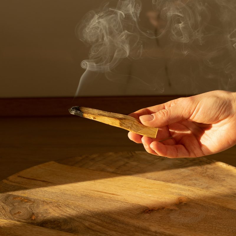 PALO SANTO | GỖ THÁNH - Hình ảnh 7